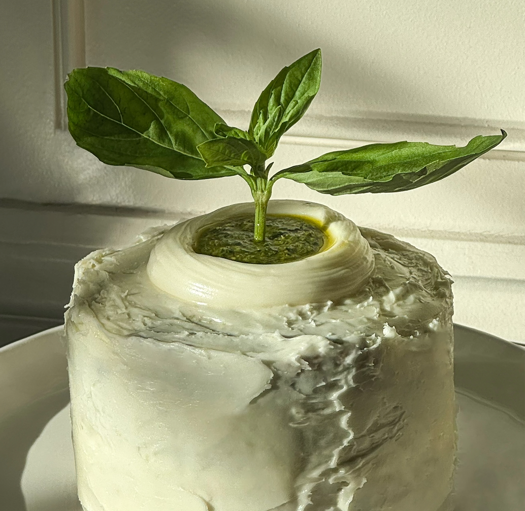 Besto Birthday Cake: Olive Oil Cake with Cream Cheese & Besto Filling