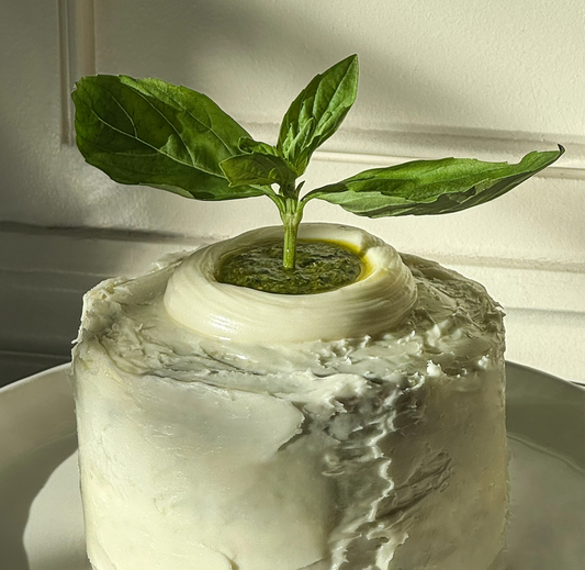 Besto Birthday Cake: Olive Oil Cake with Cream Cheese & Besto Filling