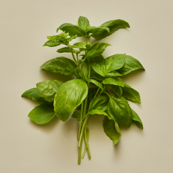 Besto | Natural, Nut-Free Pesto